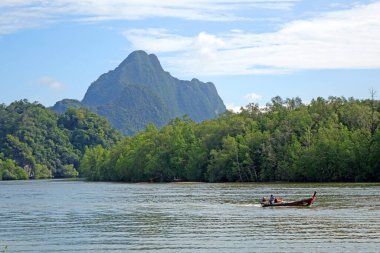 Mangrove Ormanı ve Tayland, Phang Nga Körfezi 'ndeki dağ manzarası