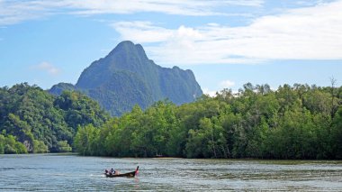 Mangrove Ormanı ve Tayland, Phang Nga Körfezi 'ndeki dağ manzarası