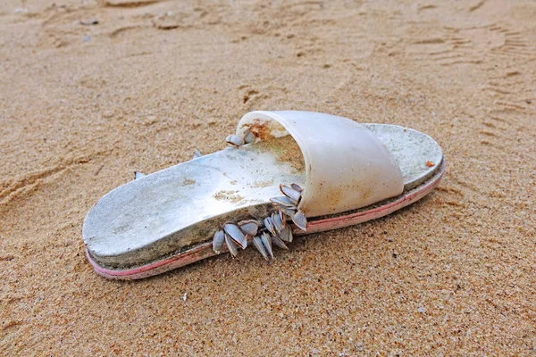 Poluição Poluição Das Praias Marítimas Lixo Chinelos Praia Foco Seletivo — Fotografia de Stock