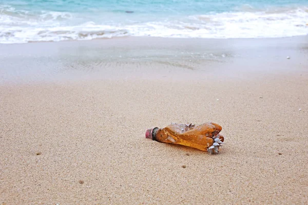 Poluição Poluição Das Praias Marítimas Uma Garrafa Plástico Praia Foco — Fotografia de Stock