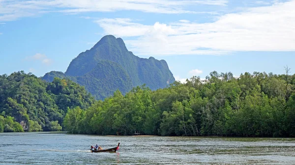 Mangrove Ormanı ve Tayland, Phang Nga Körfezi 'ndeki dağ manzarası