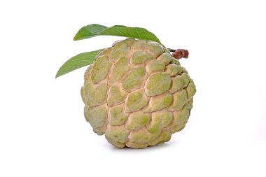 Beyaz arka planda izole edilmiş muhallebi elması. Şeker-elma, şeker-sop Annona squamosa 'nın meyvesidir. Tayland 'dan kaliteli elma şekeri.