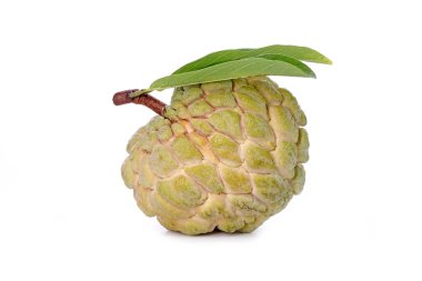 Beyaz arka planda izole edilmiş muhallebi elması. Şeker-elma, şeker-sop Annona squamosa 'nın meyvesidir. Tayland 'dan kaliteli elma şekeri.