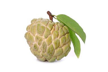 Beyaz arka planda izole edilmiş muhallebi elması. Şeker-elma, şeker-sop Annona squamosa 'nın meyvesidir. Tayland 'dan kaliteli elma şekeri.