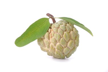 Beyaz arka planda izole edilmiş muhallebi elması. Şeker-elma, şeker-sop Annona squamosa 'nın meyvesidir. Tayland 'dan kaliteli elma şekeri.