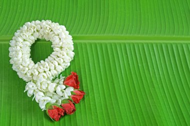 Jasmine garland for Buddhist holy day (Buddhist Sabbath day) and Thai's New year, and 12 August was Thailand Mother's day , Thai peoples use Jasmine garland wishes their mother on this day