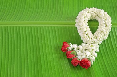 Jasmine garland for Buddhist holy day (Buddhist Sabbath day) and Thai's New year, and 12 August was Thailand Mother's day , Thai peoples use Jasmine garland wishes their mother on this day