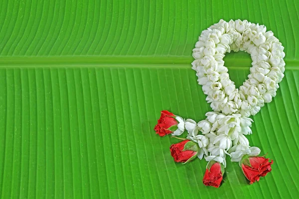Jasmine garland for Buddhist holy day (Buddhist Sabbath day) and Thai's New year, and 12 August was Thailand Mother's day , Thai peoples use Jasmine garland wishes their mother on this day