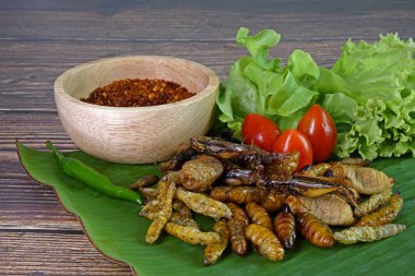 Crispy salted insects. Edible insects, other natural sources of nutrients. Entomophagy, Awesome Exotic food, Fusion food