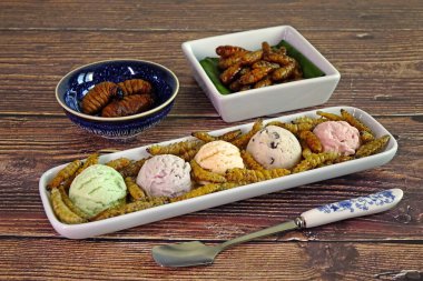 Ice cream with mixed crispy eatable insects. Ideas for Halloween party food. Entomophagy : Edible insects, other natural sources of nutrients. Awesome fusion foods and sweets