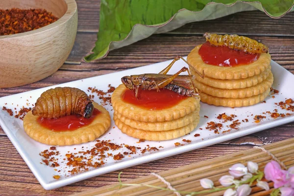 Biscuits topping with Crispy eatable insects. Ideas for celebrate Halloween party. Edible insects, other natural sources of nutrients. Awesome exotic foo , fusion food. Entomophagy