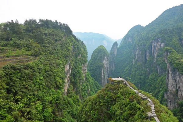Paisaje Del Parque Nacional Tian Wen Tai Provincia Hunan China — Foto de Stock