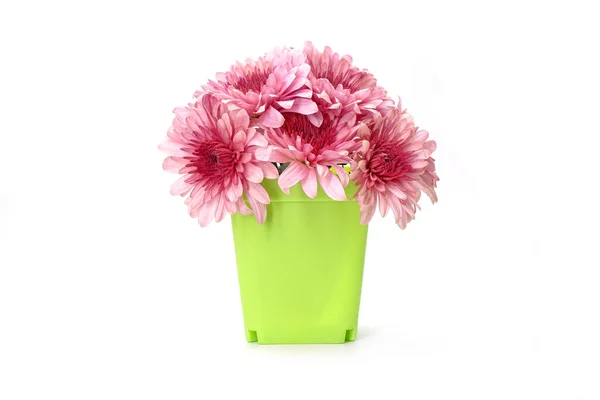 Çiçekler Masa Dekorasyonu Dekorasyonu Dekorasyonu Için Canlı Yeşil Plastik Kapta — Stok fotoğraf