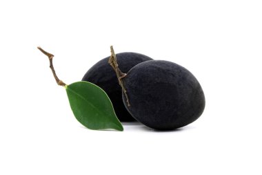 Beyaz arkaplanda Siyah Kadife Tamarind (Dialium Cochinchinense) izole.