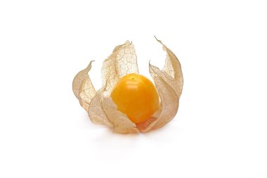 Taze Bektaşi Burnu (Physalis Peruviana) beyaz arka planda yeşil yapraklı