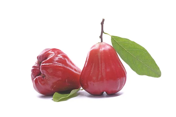 Rose Äpple Eller Bell Frukt Med Gröna Blad Isolerad Vit — Stockfoto