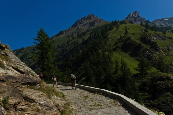 Vandring Vägen Till Alpe Veglia Västra Italienska Alperna — Stockfoto