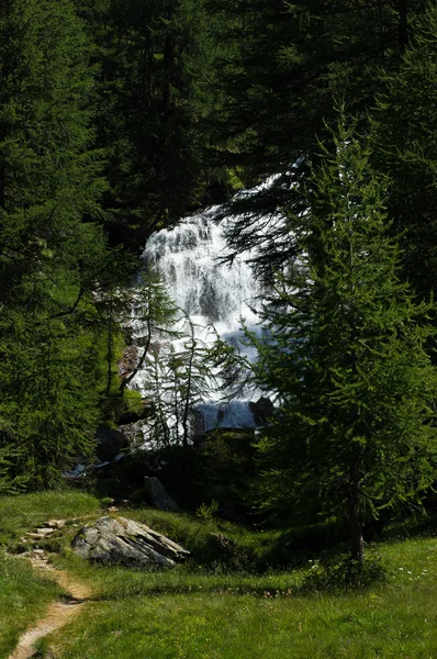 Wonderful Waterfall Alpe Veglia Natural Park Western Italian Alps — Stock Photo, Image