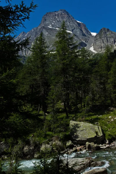 Highest Mountain Pontine Alps Monte Leone — Stock Photo, Image