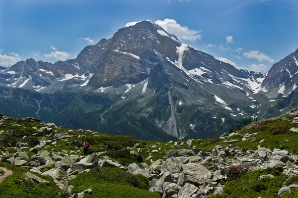 Monte Leone in Italian Alps — Stock Photo, Image