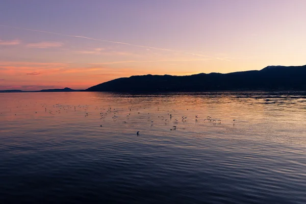 Schöner Sonnenuntergang am See — Stockfoto