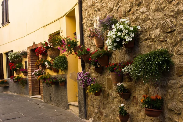 Wall Italian House Full Flowers — Stock Photo, Image