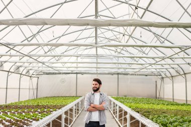 Hidroponik serada kendinden emin bir çiftçi.