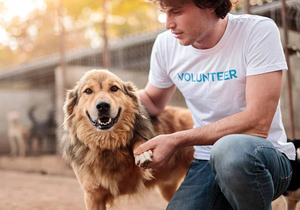 Man communicating with dog in yard of animal shelter — Stock Photo, Image