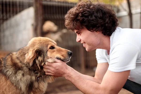 Feliz macho voluntario acariciando perro sin hogar — Foto de Stock