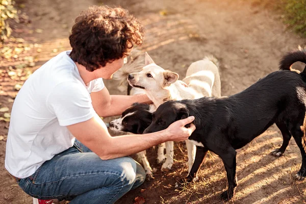 Happy man petting dog in countryside — Stock Photo, Image