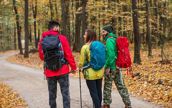 Turistas masculinos y femeninos caminando y hablando en el bosque — Foto de Stock
