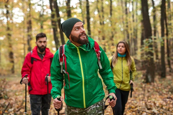 Viajero barbudo caminando en el bosque con amigos — Foto de Stock