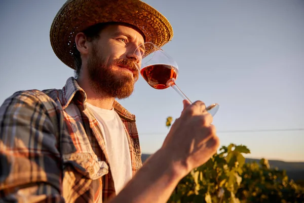 Enólogo barbudo disfrutando del vino en la granja — Foto de Stock