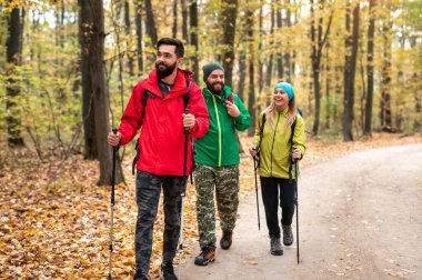 Ormanda yürüyüş yapan gezgin arkadaşlar.