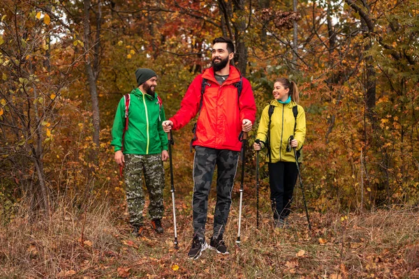 Genç yürüyüşçüler sonbahar ormanında yürüyorlar.