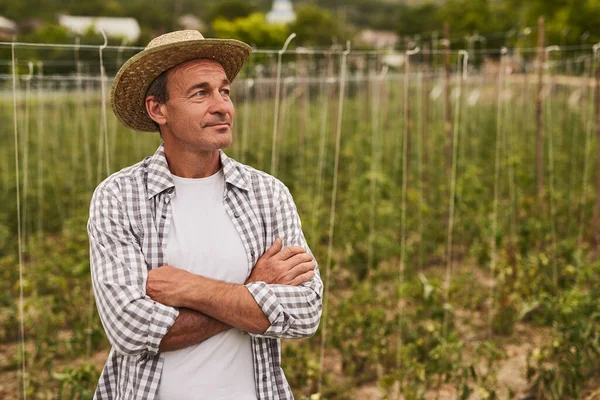 Hombre agricultor en campo en el campo —  Fotos de Stock