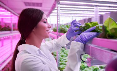 Marulla ilgilenen pozitif İspanyol bilim adamı