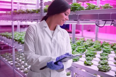 Serada çalışırken notlar alan İspanyol tarım uzmanı.