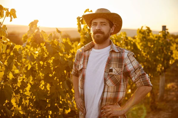 Gelukkige boer staat in wijngaard — Stockfoto