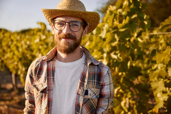 Glimlachende bebaarde boer in wijngaard — Stockfoto