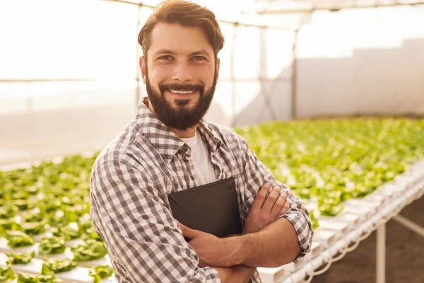 Granjero feliz en invernadero con plantas verdes —  Fotos de Stock