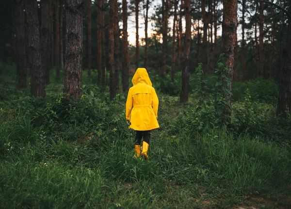Παιδί με κίτρινο αδιάβροχο περπατά στο δάσος — Φωτογραφία Αρχείου