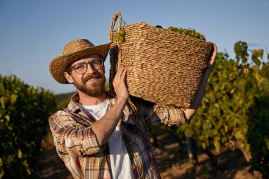 Kırsalda üzüm sepeti olan bir çiftçi.