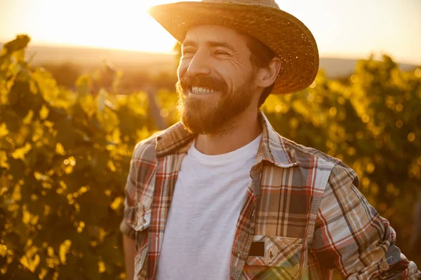 Agricultor masculino alegre na vinha — Fotografia de Stock