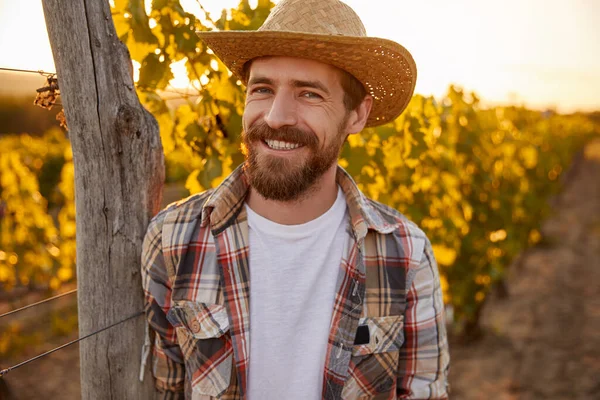Uśmiechnięty właściciel gospodarstwa w winnicy — Zdjęcie stockowe
