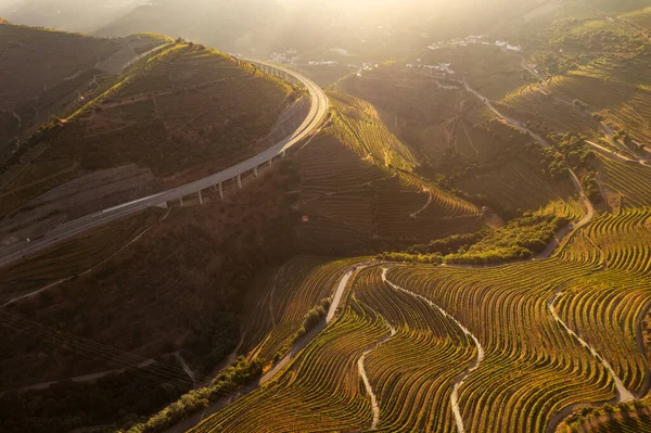 Impresionante paisaje de viñedos del valle del Duero —  Fotos de Stock