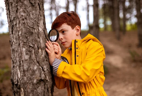 森の中で拡大鏡を持つ好奇心旺盛な少年 — ストック写真