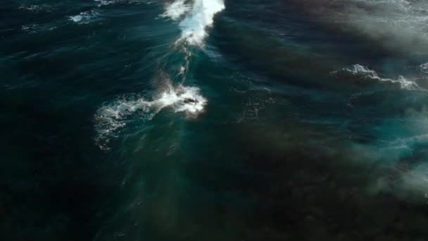 Légi felvétel szörfös lovaglás egy hullám — Stock videók