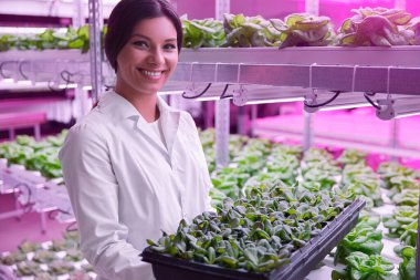 Modern serada lahana tepsisiyle gülümseyen bilim adamı