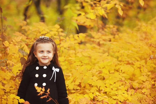 Retrato de outono de menina bonito — Fotografia de Stock